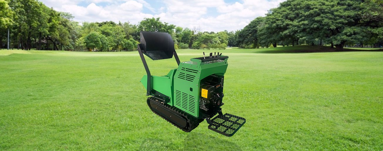 Track dumper
